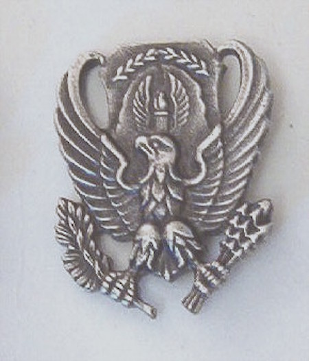 USAF ROTC collar insignia socb $3.00