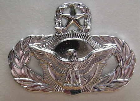 USAF Security Master badge bfcb $5.00
