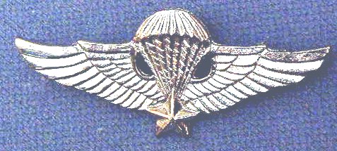 Airborne Wings VIETNAM Special Forces cb $15.00