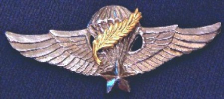 Airborne Wings VIETNAM Special Forces Jump Master cb $25.00