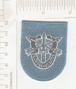 19th SF w/embroidered SF crest NS VR $4.00