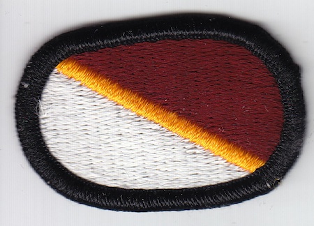 250th Forward Surgical Team wings oval me ns $4.50