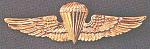 Airborne Wings USMC Marines RECON basic cb $6.99