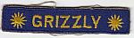 GRIZZLY Armor tab ce ns $5.00