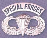 Airborne Wings basic SPECIAL FORCES arch bfcb $6.85