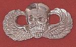 Airborne Wings basic with SKULL bfcb $8.00