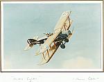 WW1 British Fighter bi-plane photo $8.99